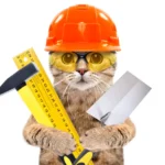 Discover the best cat tools that make grooming, feeding, and playtime easier. Learn how the right tools can improve your cat’s well-being.