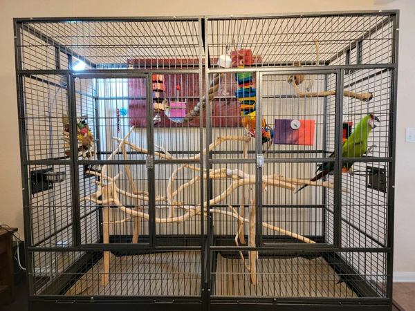 huge parrot cage