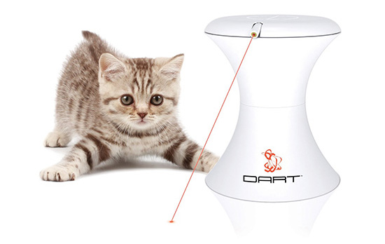 laser cat toy