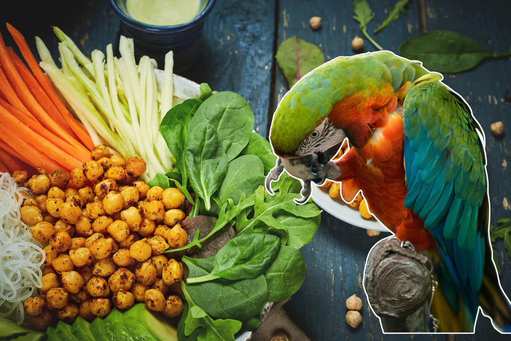 food of a parrot