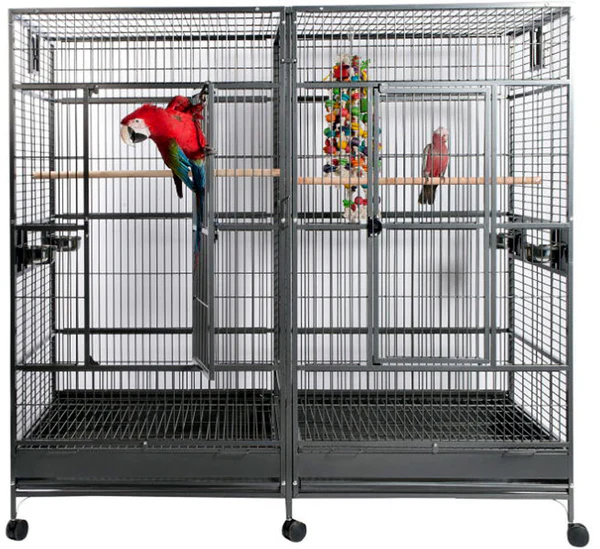 huge parrot cage