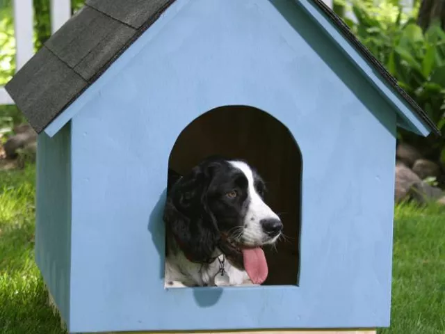 how to make dog house​