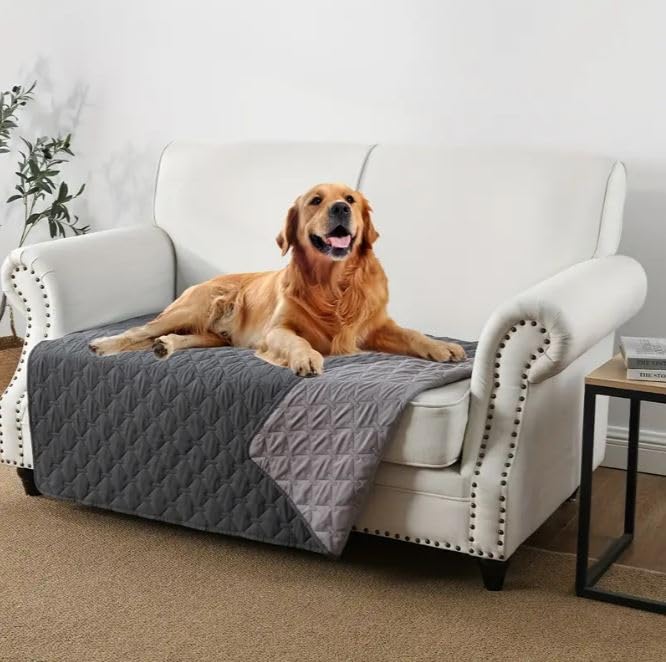 sofa cover for dogs​