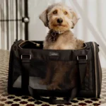 small dog carrier bag