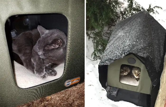 heated cat house