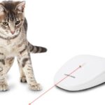 laser cat toy