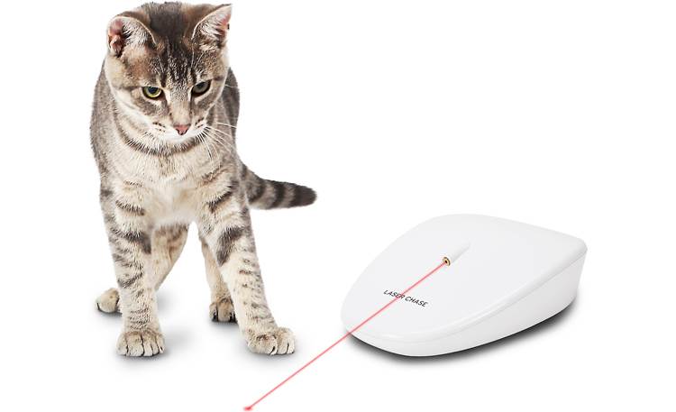 laser cat toy