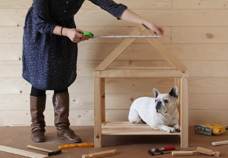 how to make dog house​