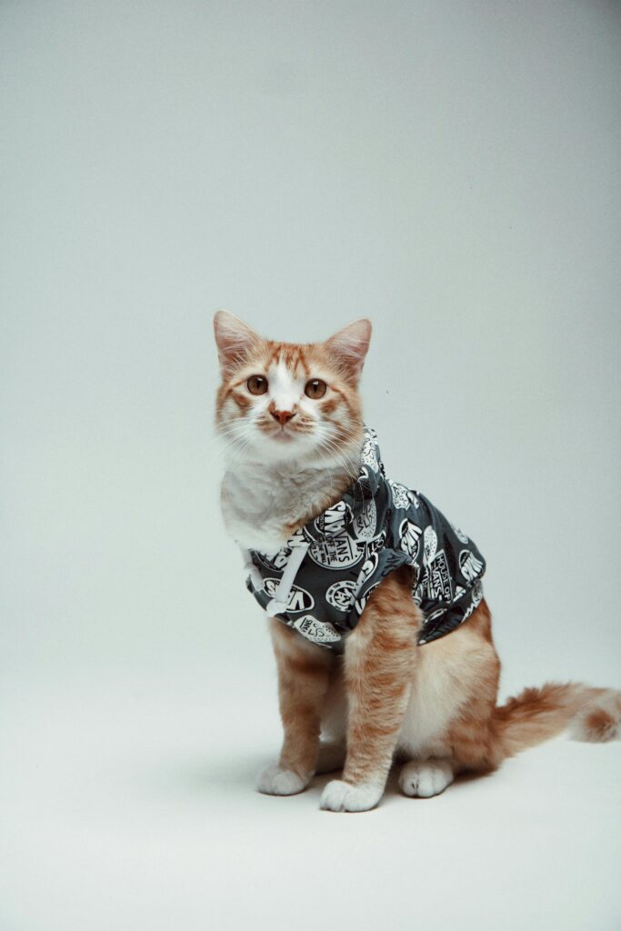 cat clothes​