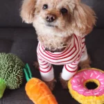 cute dog toys