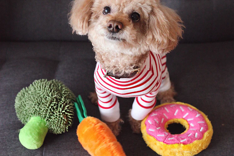 cute dog toys​