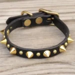 spike dog collar