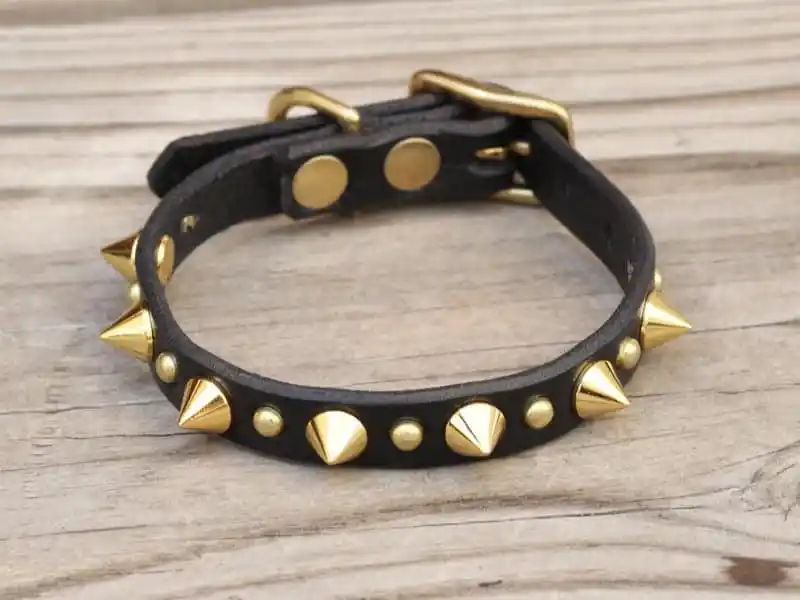 spike dog collar​