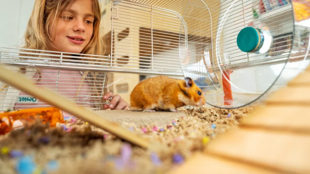 large hamster cages