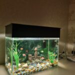 aquarium fish tank for home