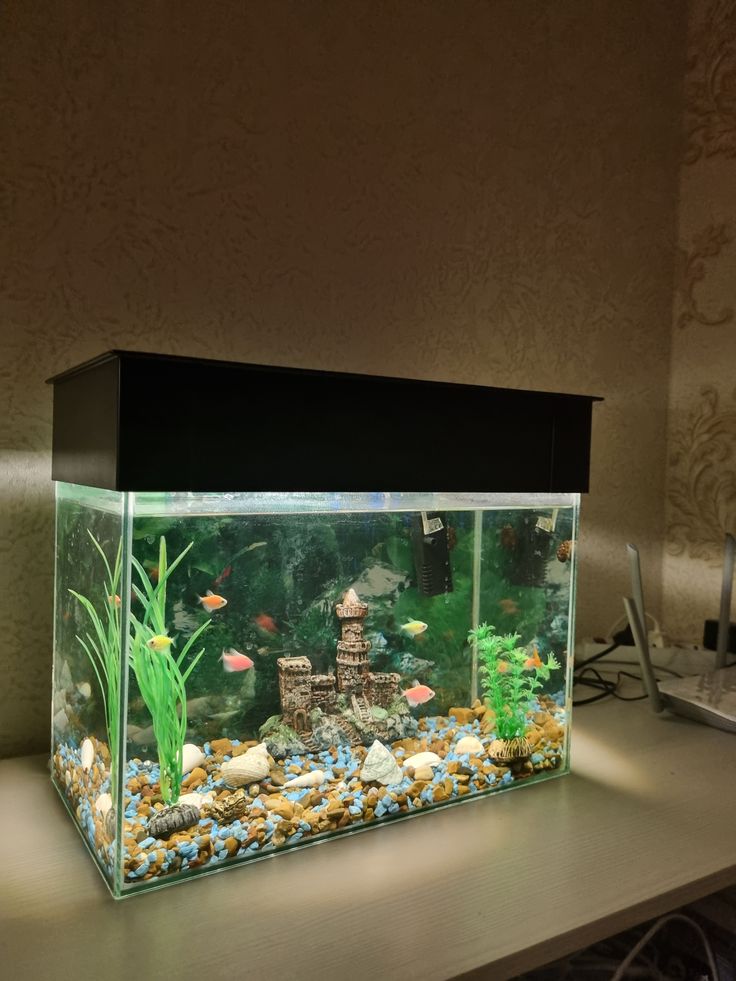 aquarium fish tank for home