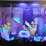 fish tank decorations