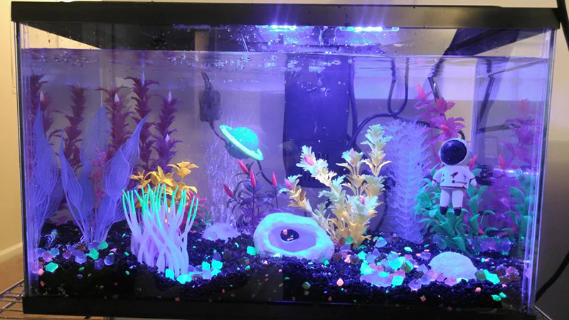 fish tank decorations
