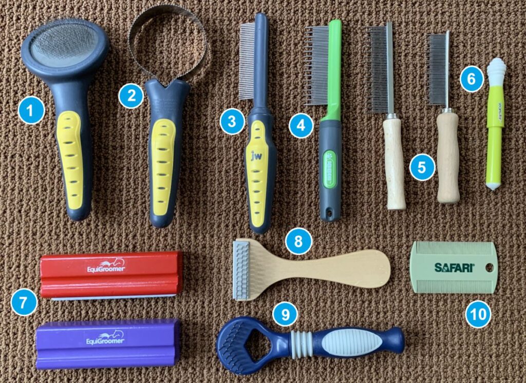 cat grooming tools