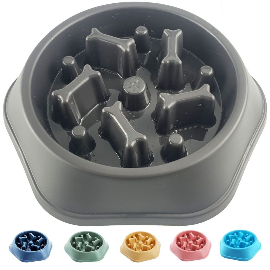 Slow Feeder Dog Bowl: Why It’s a Game-Changer for Your Dog’s Health
If your dog tends to gobble down meals in seconds, you’re not alone. Rapid eating can lead to discomfort, choking, or even dangerous conditions like bloat. A slow feeder dog bowl is a smart, simple tool designed to encourage your dog to eat more slowly and mindfully.

This guide will explain why slow feeding matters, the different types of slow feeder bowls available, and how to pick the best one for your furry friend’s needs.

Why Use a Slow Feeder Dog Bowl?
Eating too fast isn’t just a quirky habit—it can cause serious health issues:

Bloat (Gastric Dilatation-Volvulus): A life-threatening condition where the stomach twists.

Choking and Vomiting: Rapid eating increases these risks.

Poor Digestion: Fast eating can cause indigestion or gas.

Weight Management: Slower eating helps dogs feel fuller and prevents overeating.

A slow feeder dog bowl helps by creating obstacles or patterns that make your dog work for their food, naturally slowing down their pace.

Types of Slow Feeder Dog Bowls
1. Maze Bowls
Raised ridges and patterns form a maze your dog must navigate to get food.

Best for: Most dogs, especially fast eaters.

Pros: Engages your dog mentally and physically.

Cons: Some dogs may find it frustrating initially.

2. Raised Bowls with Bumps
Simple raised bumps scattered in the bowl to slow eating.

Best for: Dogs new to slow feeders.

Pros: Easy transition from regular bowls.

Cons: Less challenging than maze designs.

3. Interactive Feeders
Include puzzle elements or compartments requiring manipulation to access food.

Best for: Highly intelligent or bored dogs.

Pros: Mental stimulation combined with slower eating.

Cons: Can be pricier and require supervision.

4. Elevated Slow Feeders
Slow feeder bowls that are raised off the ground for ergonomic eating.

Best for: Older dogs or those with arthritis.

Pros: Improves posture and digestion.

Cons: May not slow eating significantly on their own.

How to Choose the Best Slow Feeder Dog Bowl
Consider these factors:

Dog Size & Breed: Large breeds need bigger bowls; small dogs need appropriately sized obstacles.

Material: Plastic is common but can retain odors; stainless steel and silicone are durable and hygienic.

Ease of Cleaning: Dishwasher-safe bowls save time.

Durability: Look for chew-resistant designs, especially for strong chewers.

Design Complexity: Start simple if your dog is new to slow feeders.

Step-by-Step: Introducing Your Dog to a Slow Feeder Bowl
Start Gradually: Mix regular feeding with slow feeder sessions.

Demonstrate: Show your dog how to get food from the bowl.

Positive Reinforcement: Praise or reward to encourage use.

Be Patient: Some dogs take days or weeks to adjust.

Monitor: Watch for signs of frustration or refusal.

Common Mistakes to Avoid
Switching abruptly from a regular bowl to a complicated feeder.

Leaving food uneaten too long, risking spoilage.

Not cleaning the bowl thoroughly, causing bacteria buildup.

Ignoring your dog’s preferences or eating style.

Personal Experience: How a Slow Feeder Changed Meal Time
My Border Collie used to inhale his meals in under a minute, often vomiting afterward. Switching to a maze-style slow feeder dog bowl transformed mealtime. He takes his time now, seems more satisfied, and no longer shows signs of indigestion. It’s also a fun challenge for him, keeping his mind engaged.

Expert Insights on Slow Feeding
Veterinarians emphasize the importance of slow feeding for dogs prone to digestive issues. According to Dr. Megan Collins:

“Slow feeders reduce the risk of bloat and improve overall digestion, especially in large, deep-chested breeds.”

Professional trainers also highlight the mental benefits of puzzle-style feeders, which keep dogs occupied and reduce boredom-related behaviors.

Comparison Table: Popular Slow Feeder Dog Bowls
Bowl Type	Best For	Material	Cleaning Ease	Price Range
Maze Bowl	Most fast eaters	Plastic/Silicone	Dishwasher safe	$$
Raised Bump Bowl	Beginners to slow feeders	Plastic	Easy	$
Interactive Feeder	Intelligent dogs	Plastic	Moderate	$$$
Elevated Slow Feeder	Older dogs, arthritis	Stainless steel	Easy	$$

When to Consult Your Vet
If your dog shows signs of digestive distress, excessive vomiting, or you’re unsure about switching feeding methods, always consult your veterinarian. They can guide you on the best feeding approach tailored to your dog’s health.

Key Takeaways
A slow feeder dog bowl helps improve digestion, prevent choking, and manage weight.

Choose a bowl suited to your dog’s size, temperament, and chewing habits.

Introduce slow feeders gradually and with patience.

Conclusion
A slow feeder dog bowl is a simple but powerful tool that can dramatically improve your dog’s eating habits and overall well-being. By slowing down mealtime, you help your dog digest food better, reduce health risks, and make feeding more stimulating. Whether you choose a basic maze bowl or an interactive puzzle feeder, the right slow feeder bowl will turn mealtime into a safer and more enjoyable experience for your furry friend.

