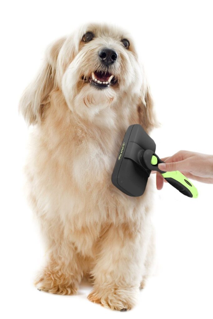 grooming brush for dogs​