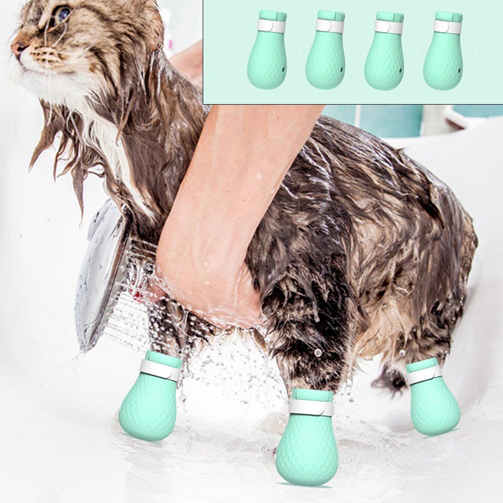 cat bathing tools