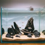 Rocks for Fish Tank: A Complete Guide to Safe, Stylish Aquascaping Introduction: Why Rocks Matter in Your Fish Tank Setup Rocks are more than just decorative elements—they play a crucial role in building a healthy, engaging, and stable environment inside your aquarium. Whether you're aiming for a natural aquascape or just want to give your fish places to hide and explore, choosing the right rocks for fish tank setups can make all the difference. But here’s the twist: not all rocks are created equal. Some may look great but can disrupt water chemistry, harm fish, or leach toxins. That’s why it’s important to make informed choices. In this detailed guide, we’ll cover everything you need to know—from types of rocks, safety checks, placement techniques, to design inspiration. If you're looking to enhance your aquarium both visually and functionally, this is where you start. Why Use Rocks in a Fish Tank? Adding rocks to your aquarium does far more than beautify your tank. 1. Natural Aesthetics Rocks bring depth and realism to your setup. Whether you're replicating a riverbed or a rocky cliff, the right rock selection creates a more immersive environment. 2. Shelter and Territory Many fish species feel secure with hiding spots. Rocks provide caves, crevices, and shaded areas, which can reduce stress and aggression—especially for territorial fish like cichlids. 3. Support for Aquatic Plants Certain rocks serve as anchors for aquatic plants, mosses, and ferns. This makes them essential for aquascaping and plant-friendly environments. 4. Biological Benefits Porous rocks can foster beneficial bacteria colonies, improving biological filtration and overall water quality. What Makes a Rock Safe for Fish Tank Use? Before dropping just any rock into your aquarium, it’s crucial to evaluate its safety. H3: What to Watch Out For Toxic Minerals: Some rocks contain metals or elements that can leach into the water. pH Alteration: Rocks like limestone can increase pH and hardness, which may not be suitable for all fish. Sharp Edges: Can injure delicate fins or bottom-dwelling species. H3: Safety Tests You Can Do at Home ✅ Vinegar Test Drop white vinegar on the rock. If it fizzes, the rock contains calcium carbonate and may alter water chemistry—avoid unless you're keeping hard water species. ✅ Scratch Test Use a knife or coin to scratch the rock. If it easily flakes or crumbles, it might not be suitable for long-term submersion. ✅ Boiling Boil the rock in water for 15–20 minutes to kill bacteria, parasites, or algae before placing it in your tank. Note: Don’t boil rocks that hold air pockets (like lava rocks), as they can explode. Types of Rocks for Fish Tank: Safe and Popular Choices H2: 1. Seiryu Stone Grey-blue color with white veins Slightly raises pH Popular in aquascaping (especially Iwagumi layouts) Best for planted freshwater tanks H2: 2. Dragon Stone (Ohko Rock) Earthy, brown tones with a textured surface Lightweight and easy to stack Neutral effect on water chemistry Great for creating caves and cliffs H2: 3. Lava Rock Extremely porous—excellent for beneficial bacteria Neutral to slightly alkaline Works well in both freshwater and saltwater tanks Supports moss and other epiphytes H2: 4. Slate Flat and stackable Neutral in water chemistry Commonly used for creating ledges or cave structures H2: 5. Texas Holey Rock White rock full of holes and crevices Raises pH and hardness (ideal for African cichlids) Not recommended for soft water species H2: 6. Pagoda Rock Layered stone with a unique, sharp-looking formation Adds drama and verticality Neutral in water chemistry Rocks You Should Avoid Not every rock is aquarium-safe. Some can alter water conditions drastically or harm your fish. 🚫 Avoid These: Limestone – Raises pH and hardness Marble – Same as limestone, bad for soft-water tanks Sandstone – Can disintegrate over time Geodes/Crystals – May contain heavy metals Painted Rocks – Toxic coatings can peel and pollute water If in doubt, always source rocks from aquarium-specific suppliers rather than landscaping or hobby stores. How to Clean and Prepare Rocks for Your Aquarium Even if you buy aquarium-safe rocks, they still need cleaning before going into your tank. Step-by-Step Cleaning Guide: Scrub with a Brush Use a stiff-bristle brush to remove loose dirt, debris, or dust. Soak in Warm Water Let rocks soak in clean, dechlorinated water for a few hours. Boil or Bake (Optional but Effective) Boil for 15-20 minutes or bake at 200°F for 30 minutes to kill pathogens. Warning: Avoid this with porous rocks that can crack or explode. Rinse and Let Cool Never add hot rocks to your tank—let them cool completely. Aquascaping Ideas with Rocks for Fish Tank Designing your tank layout with rocks can transform your aquarium from basic to breathtaking. H3: Iwagumi Style (Minimalist Zen) Uses a few large Seiryu stones Symmetry, negative space, and balance are key Perfect for planted tanks with small fish like tetras or rasboras H3: Riverbed Theme Mix of smooth river rocks and driftwood Mimics natural streams and is ideal for species like loaches and corydoras H3: Cichlid Caves Stack holey rocks or slate to create layered cave systems Helps reduce aggression and gives shelter to fry H3: Lava Rock Jungle Lava rock base covered in moss and Java ferns Adds height and lush greenery to planted aquariums Rock Placement Tips for Safety and Style Secure Stacking: Use aquarium-safe epoxy if needed to prevent collapses No Glass Contact: Place rocks on a foam mat or egg crate to avoid scratching or cracking the tank base Leave Open Space: Fish need swimming room—don’t overcrowd Consider Maintenance Access: Make sure rocks don’t block filter intakes or heaters How Rocks Affect Water Chemistry Depending on the type of rock, your tank’s pH and hardness can be affected—positively or negatively. H3: Rocks That Raise pH Texas Holey Rock Limestone Coral Rock (not technically a rock but used in cichlid tanks) These are ideal for hard-water species like African cichlids. H3: Neutral Rocks (Best for Most Tanks) Slate Lava Rock Dragon Stone Seiryu Stone (minimal effect) Always monitor your water parameters weekly, especially after adding new décor. Budget Breakdown: Cost of Rocks for Fish Tank Rock Type Average Price (per lb) Best For Seiryu Stone $4–$6 Aquascaping, planted tanks Dragon Stone $3–$5 Natural-looking setups Lava Rock $1–$2 Filtration, plant anchoring Slate $1–$3 Ledges, caves Holey Rock $5–$8 Cichlid tanks Tip: Many local fish stores sell rocks by weight—take only what you need to control cost. Personal Experience: How Rocks Changed My Aquarium Game When I first added rocks for fish tank setups, I didn’t expect much beyond aesthetics. But I was surprised at how much calmer my fish became. My bettas and bottom dwellers like cory cats started exploring, hiding, and even showing new behaviors I hadn’t seen before. In one tank, I used lava rocks as a base and tied moss to them. It turned into a lush underwater garden, and my shrimp population exploded. The change was not just visual—it improved the health of the entire system. Final Thoughts: Building a Natural Home for Your Fish Rocks do more than just sit there—they shape the environment your fish call home. When thoughtfully selected and arranged, rocks for fish tank use can bring both style and function to your aquarium. They provide shelter, enhance filtration, and create a world your fish can truly thrive in. So whether you're designing a minimalist Iwagumi layout or a complex cichlid cave system, choose your rocks with care—and watch your underwater world come alive. Want more aquarium inspiration? Explore our guides on: Best plants to pair with aquarium rocks DIY rock backgrounds for tanks How to maintain water quality in aquascaped setups Start designing, and let your aquarium reflect the beauty of the wild. Ask ChatGPT Unlock more with Plus ChatGPT Plus gives you higher limits, smarter models, and Sora for video. Get Plus Tools