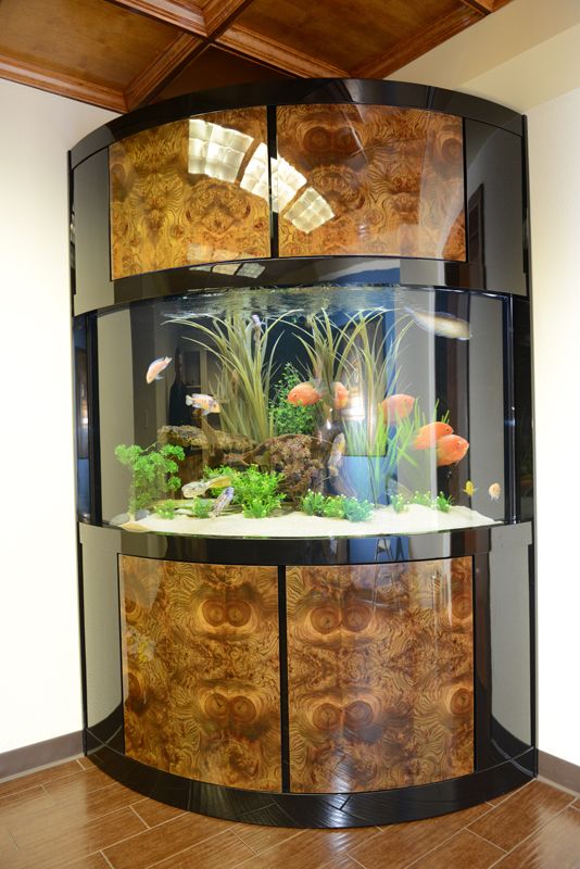 corner fish tank