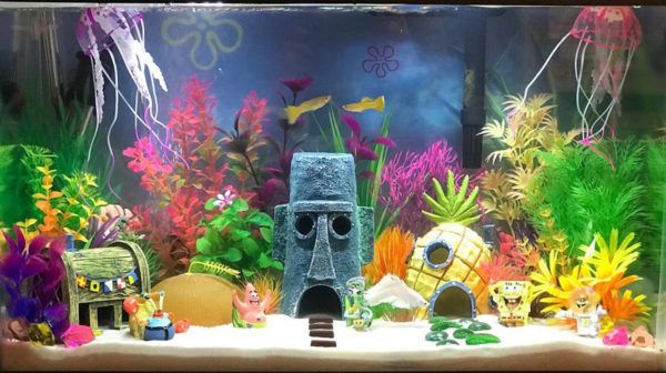 fish tank decorations