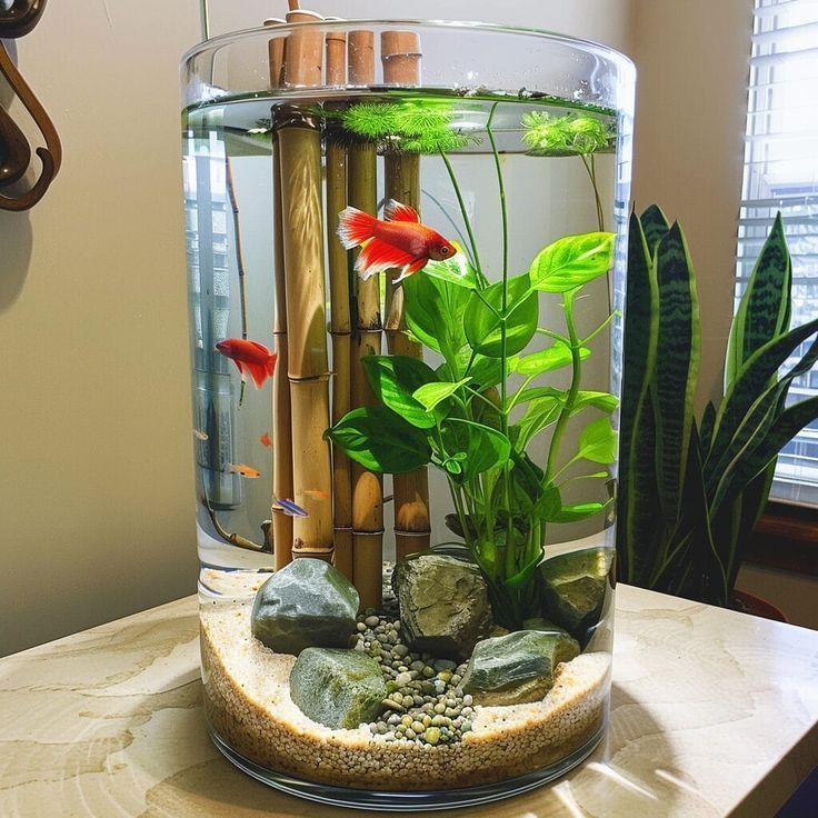 Fish Jar: A Simple Yet Beautiful Way to Keep Fish at Home
Have you ever wanted to keep pet fish but felt overwhelmed by large aquariums and high-maintenance setups? A fish jar might be the perfect solution. Compact, aesthetic, and surprisingly easy to manage, this trend has taken off among minimalists, students, and small space dwellers alike.

But is a fish jar really a healthy environment for fish? What kind of setup works best? And how do you balance design with the well-being of your aquatic pets?

Let’s dive deep into the world of fish jars and find out what makes them special—and how to create one that’s both beautiful and functional.

What is a Fish Jar?
A fish jar is exactly what it sounds like—a clear glass jar (often a large one) used as a small aquarium for keeping one or more fish. It’s a minimalist approach to fish keeping that fits well in bedrooms, desktops, kitchens, or even small apartments.

Fish jars usually range from 1 to 5 gallons in capacity and are often cylindrical or spherical. While they may resemble old-fashioned fish bowls, modern versions come with better filtration and design improvements to support healthier fish lives.

Why Choose a Fish Jar Over a Traditional Aquarium?
Here are a few compelling reasons people choose a fish jar:

Space-saving: Perfect for tiny apartments, desks, or kitchen counters.

Aesthetic appeal: Their clear, symmetrical design blends well with modern or rustic decor.

Budget-friendly: Compared to full-sized aquariums, a fish jar setup costs significantly less.

Educational: A great introduction to fish keeping for kids and beginners.

Portable: Lightweight and easy to relocate.

However, a fish jar isn't a substitute for a fully equipped aquarium. It requires thoughtful setup and regular care.

Best Fish Species for a Fish Jar
Not every fish can thrive in such a confined environment. The best fish jar inhabitants are small, hardy, and adaptable to variable conditions.

Top choices include:
Betta Fish

Single betta per jar (they’re territorial)

Gorgeous colors, low oxygen demand

Needs regular water changes

Guppies (1-2 only)

Small, active, and colorful

Prefer stable temperatures

Endler’s Livebearers

Close relatives of guppies

Ideal for nano tanks and jars

Shrimp or Snails (optional)

Like Cherry shrimp or Nerite snails

Help keep the jar clean by eating algae

Avoid goldfish, tetras, and cichlids, as they require more space and oxygen.

How to Set Up a Fish Jar: Step-by-Step
Setting up your fish jar properly is essential for the health of your pet fish. Follow these steps to ensure a safe and appealing mini-aquarium.

1. Choose the Right Jar
Use a jar that holds at least 1-2 gallons (larger is better).

Opt for clear glass with a wide mouth for access and oxygen exchange.

Avoid jars with narrow necks or unusual shapes that restrict airflow.

2. Add Gravel or Substrate
Use aquarium-safe gravel or fine sand.

Rinse thoroughly to remove dust or chemicals.

A 1-inch layer is enough to anchor plants and provide some biological filtration.

3. Add Live or Artificial Plants
Live plants like Java Moss, Anubias, or Hornwort can thrive in jars.

They help absorb nitrates, improve oxygenation, and create a more natural habitat.

Artificial plants also work, but they don’t improve water quality.

4. Decorate Carefully
Avoid overloading with decorations—space is limited.

Use smooth, non-toxic decor like small driftwood, pebbles, or a mini castle.

5. Fill with Dechlorinated Water
Use conditioned tap water or pre-treated water to remove chlorine and chloramine.

Maintain a stable temperature (ideally 75-80°F for most species).

6. Optional: Add a Small Filter or Heater
For jars over 2 gallons, a small sponge filter or nano heater can greatly improve fish health.

In smaller jars, consistent water changes become even more critical.

How to Maintain a Fish Jar
While a fish jar is low-maintenance, it still requires regular attention to ensure a safe and comfortable environment for its inhabitants.

Weekly Tasks:
Water Change: Replace 30-50% of the water with fresh, dechlorinated water.

Gravel Cleaning: Gently stir or siphon the gravel to remove debris.

Temperature Check: Ensure consistent warmth, especially in colder regions.

Monthly Tasks:
Plant Trimming: Remove dead leaves to avoid water contamination.

Glass Cleaning: Wipe down inside walls to remove algae buildup.

Feeding:
Feed once daily or every other day.

Remove uneaten food within 5 minutes.

Overfeeding is a common cause of water issues in jars.

Common Mistakes to Avoid
Many new fish jar owners make critical errors that can harm or even kill their fish. Here's what to watch out for:

Overcrowding: One fish is plenty for a small jar.

Lack of filtration: While jars can function without filters, poor water quality is dangerous.

Skipping water changes: Even a day or two can lead to toxin buildup.

Using tap water without conditioning: Chlorine is lethal to fish.

Adding incompatible fish: Avoid mixing species or adding aggressive tank mates.

Fish Jar Design Inspirations
Want to go beyond the basics? Here are a few themed ideas for decorating your fish jar:

1. Zen Garden Jar
White sand, smooth pebbles, a single plant.

Great for bettas and minimalists.

2. Undersea Fantasy
Blue gravel, fake coral, pirate chest ornament.

Ideal for kids and whimsical rooms.

3. Jungle Look
Heavily planted with Java Fern, moss balls, and driftwood.

Natural and lush atmosphere.

Each theme can make your fish jar a centerpiece in any room while still offering comfort for your fish.

Is a Fish Jar Right for You?
A fish jar is an excellent choice if you're:

Living in a dorm or studio apartment

Looking for a low-budget, aesthetic pet project

Interested in starting small before committing to a larger tank

Responsible and willing to do weekly maintenance

But if you want to keep multiple fish or species with specific needs, it’s better to invest in a proper tank with full equipment.

Final Thoughts
A fish jar is more than just a decorative piece—it’s a living, breathing ecosystem in a glass world. With the right care and attention, even a small jar can become a thriving aquatic environment and a conversation starter in your space.

Whether you're a beginner aquarist or simply someone who loves combining nature with home décor, this minimalist approach might be your ideal entry into the world of fish keeping.

