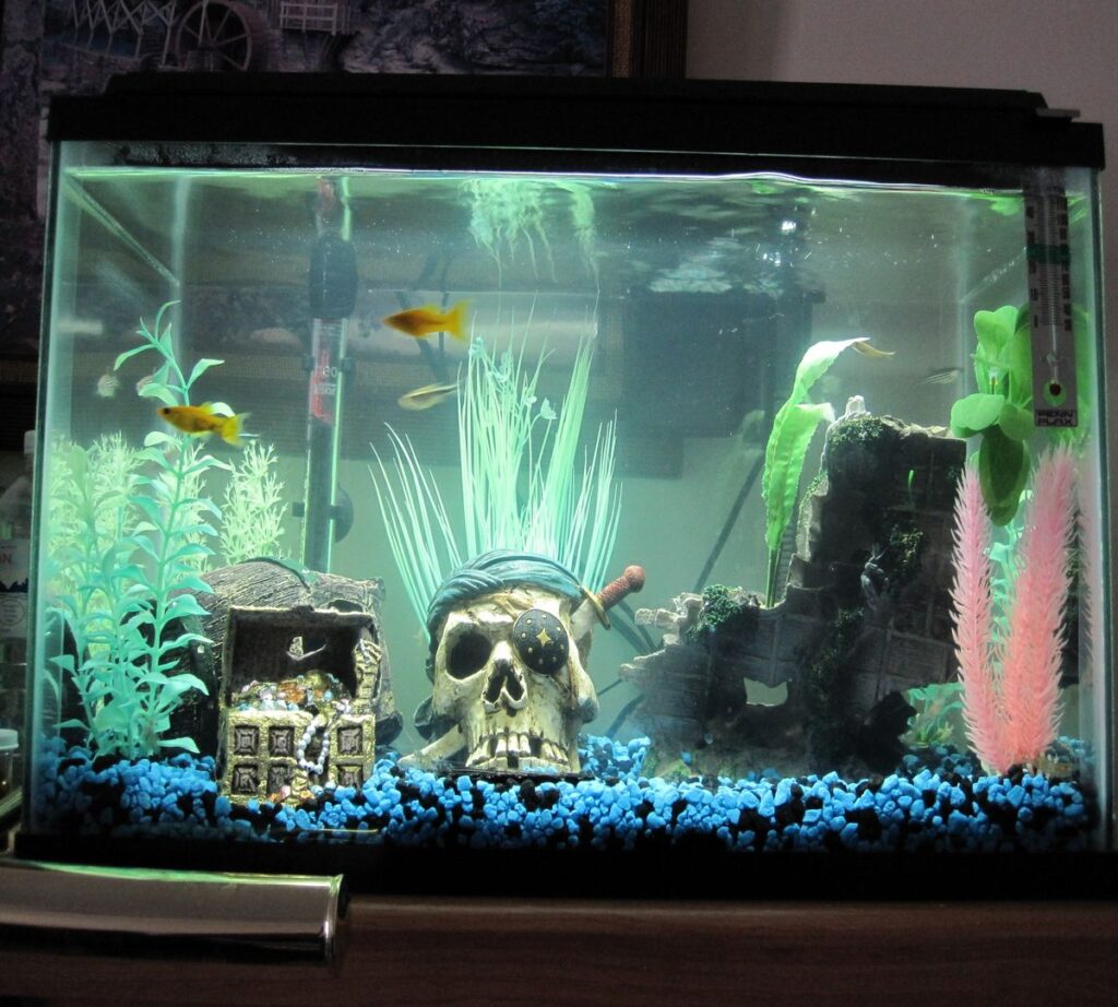 Fish Tank Pirate Ship: A Nautical Treasure for Your Aquarium Ever thought about turning your aquarium into a scene from a maritime legend? A fish tank pirate ship might be exactly what you need. These decorative pieces do more than just add visual flair — they create a sense of mystery and adventure, making your underwater world come alive. Whether you're setting up a new tank or looking to enhance an existing one, pirate ship decorations offer a blend of creativity, functionality, and timeless appeal. Let’s dive into why they’re such a popular choice, how to choose the best one, and how to keep your aquatic environment safe and beautiful. Why a Pirate Ship? The Appeal Behind the Theme A fish tank pirate ship taps into a universal sense of adventure. Here's why this décor stands out: Storytelling: Pirate ships ignite imagination. They turn a simple tank into a treasure-filled seascape. Visual Impact: Intricately designed pirate ships, with tattered sails and weathered wood textures, add an eye-catching centerpiece. Shelter for Fish: These structures often include caves, crevices, and tunnels that provide hiding spots for fish, reducing stress. In short, a pirate ship in your aquarium adds both aesthetic value and practical benefits for aquatic life. Types of Fish Tank Pirate Ships Not all pirate ships are created equal. Here are the most common varieties available: 1. Full-Sized Centerpiece Ships Typically 8 to 20 inches long. Designed as the main focal point. Ideal for medium to large aquariums. 2. Sunken or Broken Pirate Ships Often come in two or three broken parts. Give the illusion of a wrecked ship scattered on the ocean floor. Better for creating a more dynamic, immersive look. 3. Mini Pirate Ships Smaller models, suitable for nano tanks or as secondary décor. Often used in betta or shrimp tanks. 4. Bubble-Producing Ships Equipped with an air line connection. Bubbles rise through the hull or cannon ports, enhancing oxygenation. Adds movement and entertainment to your setup. Materials: Safety First When selecting a fish tank pirate ship, make sure it’s made from aquarium-safe materials. Here are the most common: Resin or Polyresin: Durable and lightweight. These are molded to replicate wood, metal, and fabric details. Ceramic: Safe for freshwater and saltwater but can be fragile. Plastic: Only use high-quality, non-toxic plastic that’s certified for aquarium use. Avoid any decoration that has sharp edges or paint that peels. Flaking paint can harm fish and compromise water quality. How to Choose the Right Pirate Ship for Your Tank Here are a few considerations to help you select the best piece: 1. Tank Size Compatibility Ensure your pirate ship fits comfortably without overcrowding your tank. Leave enough swimming space for fish to move freely. 2. Fish Behavior Some fish are shy and appreciate the hiding spots. Others are territorial and may claim sections of the ship. 3. Maintenance Requirements Choose a design that’s easy to clean and won’t trap debris. Avoid overly intricate designs if you prefer low-maintenance tanks. Creative Placement Ideas To truly elevate your pirate-themed setup, it’s not just about placing the ship in the center. Think like a set designer. Sunken Scene Tilt the pirate ship at an angle to mimic a real wreck. Add gravel mounds around the base as if it's partially buried. Treasure Hunt Theme Place small chests, gold coins, or skull decorations nearby. Include artificial plants like Java Fern or Anubias for a lost-jungle effect. Battle Scene Combine with cannon decorations or opposing shipwrecks. Use LED lighting with a blue tint to give it an eerie, underwater glow. Maintenance Tips for Your Pirate Ship Decoration Even the most stunning decoration can become a nuisance if not properly cared for. 1. Regular Cleaning Use a soft brush to remove algae buildup every few weeks. Avoid soap or detergents. Soak in tank-safe solutions or use warm water. 2. Monitor Paint and Surface Watch for signs of wear, especially if paint starts chipping or flaking. If damage occurs, remove the decoration to prevent contamination. 3. Positioning During Cleaning Move the pirate ship slightly during each tank cleaning to avoid dead spots in water flow. Best Fish for Pirate Ship Setups Some fish are more likely to explore and enjoy the hiding spots in a pirate ship. Corydoras: Love exploring nooks and crannies. Betta Fish: Enjoy resting spots inside crevices. Dwarf Gouramis: Often curious and interactive with décor. Shrimp & Snails: Ideal for smaller holes and corners. Aggressive or large fish like cichlids might topple over lightweight decorations, so ensure your pirate ship is sturdy or weighted. Budget Considerations The price of a fish tank pirate ship can vary widely: Size/Type Price Range (USD) Mini Pirate Ship $5 – $15 Medium Resin Ship $20 – $40 Large Centerpiece $50 – $100+ Bubble Features Add $10 – $20 More expensive doesn’t always mean better. Look for realistic detail, material quality, and fish-safe certification. Combining with Other Themes You don’t have to stick with just one idea. Pirate ship decorations can be combined with other underwater themes like: Atlantis or Sunken Cities: Merge ancient ruins and Greek statues. Fantasy Underwater Worlds: Add sea monsters, divers, or glowing elements. Jungle River Scene: Use driftwood and moss for a more natural twist. This flexibility makes the pirate ship theme one of the most versatile options for aquascaping. Personal Experience: My First Pirate Tank When I set up my first fish tank pirate ship, I was skeptical. Would it look tacky? Would my fish even care? To my surprise, the tank became a conversation piece. Friends were drawn to the detailed masts and cannon holes. My fish—particularly my Corydoras—would dart in and out of the crevices, playing hide and seek. Over time, I added little details: a broken treasure chest, a skull, and glowing plants. The whole scene transformed into a dynamic underwater diorama that I enjoyed just as much as my fish. That setup lasted for over two years, and I still miss its cinematic flair. Conclusion: Set Sail into Creative Aquascaping A fish tank pirate ship isn’t just a quirky decoration — it’s a gateway to creative expression and a better habitat for your fish. With the right design, size, and placement, it brings depth, charm, and a sense of wonder to your tank. So, whether you're a beginner setting up your first aquarium or a seasoned aquarist looking to refresh your setup, consider sailing into new waters with a pirate-themed tank. It's fun, functional, and unforgettable.