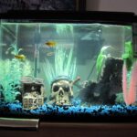 Fish Tank Pirate Ship: A Nautical Treasure for Your Aquarium Ever thought about turning your aquarium into a scene from a maritime legend? A fish tank pirate ship might be exactly what you need. These decorative pieces do more than just add visual flair — they create a sense of mystery and adventure, making your underwater world come alive. Whether you're setting up a new tank or looking to enhance an existing one, pirate ship decorations offer a blend of creativity, functionality, and timeless appeal. Let’s dive into why they’re such a popular choice, how to choose the best one, and how to keep your aquatic environment safe and beautiful. Why a Pirate Ship? The Appeal Behind the Theme A fish tank pirate ship taps into a universal sense of adventure. Here's why this décor stands out: Storytelling: Pirate ships ignite imagination. They turn a simple tank into a treasure-filled seascape. Visual Impact: Intricately designed pirate ships, with tattered sails and weathered wood textures, add an eye-catching centerpiece. Shelter for Fish: These structures often include caves, crevices, and tunnels that provide hiding spots for fish, reducing stress. In short, a pirate ship in your aquarium adds both aesthetic value and practical benefits for aquatic life. Types of Fish Tank Pirate Ships Not all pirate ships are created equal. Here are the most common varieties available: 1. Full-Sized Centerpiece Ships Typically 8 to 20 inches long. Designed as the main focal point. Ideal for medium to large aquariums. 2. Sunken or Broken Pirate Ships Often come in two or three broken parts. Give the illusion of a wrecked ship scattered on the ocean floor. Better for creating a more dynamic, immersive look. 3. Mini Pirate Ships Smaller models, suitable for nano tanks or as secondary décor. Often used in betta or shrimp tanks. 4. Bubble-Producing Ships Equipped with an air line connection. Bubbles rise through the hull or cannon ports, enhancing oxygenation. Adds movement and entertainment to your setup. Materials: Safety First When selecting a fish tank pirate ship, make sure it’s made from aquarium-safe materials. Here are the most common: Resin or Polyresin: Durable and lightweight. These are molded to replicate wood, metal, and fabric details. Ceramic: Safe for freshwater and saltwater but can be fragile. Plastic: Only use high-quality, non-toxic plastic that’s certified for aquarium use. Avoid any decoration that has sharp edges or paint that peels. Flaking paint can harm fish and compromise water quality. How to Choose the Right Pirate Ship for Your Tank Here are a few considerations to help you select the best piece: 1. Tank Size Compatibility Ensure your pirate ship fits comfortably without overcrowding your tank. Leave enough swimming space for fish to move freely. 2. Fish Behavior Some fish are shy and appreciate the hiding spots. Others are territorial and may claim sections of the ship. 3. Maintenance Requirements Choose a design that’s easy to clean and won’t trap debris. Avoid overly intricate designs if you prefer low-maintenance tanks. Creative Placement Ideas To truly elevate your pirate-themed setup, it’s not just about placing the ship in the center. Think like a set designer. Sunken Scene Tilt the pirate ship at an angle to mimic a real wreck. Add gravel mounds around the base as if it's partially buried. Treasure Hunt Theme Place small chests, gold coins, or skull decorations nearby. Include artificial plants like Java Fern or Anubias for a lost-jungle effect. Battle Scene Combine with cannon decorations or opposing shipwrecks. Use LED lighting with a blue tint to give it an eerie, underwater glow. Maintenance Tips for Your Pirate Ship Decoration Even the most stunning decoration can become a nuisance if not properly cared for. 1. Regular Cleaning Use a soft brush to remove algae buildup every few weeks. Avoid soap or detergents. Soak in tank-safe solutions or use warm water. 2. Monitor Paint and Surface Watch for signs of wear, especially if paint starts chipping or flaking. If damage occurs, remove the decoration to prevent contamination. 3. Positioning During Cleaning Move the pirate ship slightly during each tank cleaning to avoid dead spots in water flow. Best Fish for Pirate Ship Setups Some fish are more likely to explore and enjoy the hiding spots in a pirate ship. Corydoras: Love exploring nooks and crannies. Betta Fish: Enjoy resting spots inside crevices. Dwarf Gouramis: Often curious and interactive with décor. Shrimp & Snails: Ideal for smaller holes and corners. Aggressive or large fish like cichlids might topple over lightweight decorations, so ensure your pirate ship is sturdy or weighted. Budget Considerations The price of a fish tank pirate ship can vary widely: Size/Type Price Range (USD) Mini Pirate Ship $5 – $15 Medium Resin Ship $20 – $40 Large Centerpiece $50 – $100+ Bubble Features Add $10 – $20 More expensive doesn’t always mean better. Look for realistic detail, material quality, and fish-safe certification. Combining with Other Themes You don’t have to stick with just one idea. Pirate ship decorations can be combined with other underwater themes like: Atlantis or Sunken Cities: Merge ancient ruins and Greek statues. Fantasy Underwater Worlds: Add sea monsters, divers, or glowing elements. Jungle River Scene: Use driftwood and moss for a more natural twist. This flexibility makes the pirate ship theme one of the most versatile options for aquascaping. Personal Experience: My First Pirate Tank When I set up my first fish tank pirate ship, I was skeptical. Would it look tacky? Would my fish even care? To my surprise, the tank became a conversation piece. Friends were drawn to the detailed masts and cannon holes. My fish—particularly my Corydoras—would dart in and out of the crevices, playing hide and seek. Over time, I added little details: a broken treasure chest, a skull, and glowing plants. The whole scene transformed into a dynamic underwater diorama that I enjoyed just as much as my fish. That setup lasted for over two years, and I still miss its cinematic flair. Conclusion: Set Sail into Creative Aquascaping A fish tank pirate ship isn’t just a quirky decoration — it’s a gateway to creative expression and a better habitat for your fish. With the right design, size, and placement, it brings depth, charm, and a sense of wonder to your tank. So, whether you're a beginner setting up your first aquarium or a seasoned aquarist looking to refresh your setup, consider sailing into new waters with a pirate-themed tank. It's fun, functional, and unforgettable.