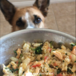 If you’ve ever owned both a dog and fish, you might’ve wondered: “Can dogs eat fish food?” Or maybe you're just exploring healthier options and stumbled upon fish dog food in a pet store. While it might sound unusual at first, fish-based diets for dogs are becoming increasingly popular—and for good reason. This blog post dives deep into the concept of fish dog food, separating fact from fiction and helping you decide whether it’s a smart move for your pet’s diet. Why Fish in Dog Food? Most traditional dog foods rely on meats like chicken, beef, or lamb. However, fish dog food offers a lean and nutrient-rich alternative. Here’s why many dog owners are making the switch: 1. High in Omega-3 Fatty Acids Fish like salmon, herring, and sardines are rich in Omega-3s, which: Promote healthy skin and shiny coats Reduce inflammation Improve joint health in senior dogs Support brain and eye development in puppies 2. Excellent Source of Protein Fish contains high-quality protein that helps build muscle and supports overall growth and repair in dogs. 3. Hypoallergenic Benefits Some dogs are allergic to common proteins like chicken or beef. Fish dog food is often used in hypoallergenic formulas, making it ideal for dogs with sensitive stomachs or skin issues. Is Fish Dog Food Safe? Yes, fish dog food is generally safe—as long as it's formulated for canine consumption. However, there are two very different interpretations of the term "fish dog food": ✅ 1. Commercial Fish-Based Dog Food This is food specifically made for dogs, with fish as the main protein. These are safe, nutritionally balanced, and vet-approved. ❌ 2. Fish Food for Aquariums (Not for Dogs!) This refers to the food we feed aquarium fish—flakes, pellets, or frozen worms. This is not meant for dogs and can be harmful if ingested in large quantities. If you're asking whether your dog can eat fish flakes by accident—yes, a small amount may not hurt. But it’s not designed for their system, and repeated exposure can cause issues. Key Ingredients to Look For in Fish Dog Food When choosing the best fish dog food, examine the ingredients list carefully. Here’s what to look for: ✅ High-Quality Fish Sources Salmon Whitefish Ocean fish Trout Sardines Avoid vague terms like “fish meal” unless the source is clearly identified (e.g., “salmon meal”). ✅ Omega-3 Enrichment Look for added fish oil or natural omega-rich fish to boost health benefits. ✅ Whole Grains or Grain-Free (Depending on Your Dog’s Needs) Some dogs thrive on grains like brown rice or oats, while others do better on grain-free formulas with sweet potatoes or peas. ✅ No Fillers or Artificial Preservatives Avoid products with corn, soy, wheat, or chemical preservatives like BHA/BHT. Best Fish Dog Food Brands (As of 2025) Here are some trusted brands known for high-quality fish-based dog food: Brand Fish Used Grain-Free Suitable For Orijen Six Fish 6 types of fish Yes All life stages Blue Buffalo Life Protection Whitefish No Adult dogs Taste of the Wild Pacific Stream Salmon Yes Dogs with sensitivities Wellness CORE Ocean Whitefish, Herring Yes Active dogs Natural Balance LID Fish & Sweet Potato Salmon Yes Dogs with allergies Homemade Fish Dog Food: Is It Worth It? Some dog owners prefer preparing fish meals at home. While this can work, it must be done carefully to ensure a balanced diet. Pros: You control the ingredients No preservatives or artificial fillers Can tailor meals for allergies Cons: Nutritional imbalance risk Takes time and effort Requires vet consultation Example Recipe: Simple Salmon & Veggie Bowl Ingredients: 1 cup cooked salmon (boneless, skinless) ½ cup boiled sweet potatoes ½ cup chopped spinach 1 tsp olive oil (for Omega-3 boost) Mix all ingredients and let cool before serving. Ensure you’re not adding any spices, garlic, or onions—these are toxic to dogs. What If Your Dog Eats Aquarium Fish Food? If your dog accidentally munches on fish food made for aquarium pets, here’s what you should do: 1. Stay Calm Small amounts are unlikely to cause major harm. 2. Check Ingredients Look for toxic ingredients like ethoxyquin, copper sulfate, or preservatives that may upset your dog’s stomach. 3. Monitor for Symptoms Watch for vomiting, diarrhea, or unusual behavior. If anything seems off, contact your vet immediately. When Fish Dog Food Is Not the Right Choice Fish-based diets are not suitable for all dogs. You should reconsider or consult a vet if your dog: Has a diagnosed seafood allergy Is prone to urinary issues (some fish may increase purine levels) Is on a prescription diet for kidney or liver conditions Always introduce new food gradually over 7–10 days to avoid gastrointestinal issues. Real-Life Story: How Fish Dog Food Helped Max’s Skin Allergies Max, a 6-year-old Golden Retriever, constantly battled itchy skin and hot spots. His owner, Sarah, tried different treatments—from shampoos to steroids—but nothing worked long-term. After a vet recommended switching to a fish dog food diet, Max’s condition improved within weeks. His coat grew shinier, scratching reduced dramatically, and his energy levels returned to normal. Sarah’s advice? “Don’t underestimate what a protein change can do. Fish dog food gave Max his life back.” Fish Dog Food vs. Traditional Meat-Based Dog Food Feature Fish Dog Food Traditional Dog Food Protein Source Fish (e.g., salmon, whitefish) Chicken, beef, lamb Omega-3 Content High Moderate to low Allergen Risk Lower Higher (especially chicken/beef) Taste Preference Some dogs love it, others don’t Generally accepted Digestibility High (especially in limited-ingredient diets) Varies by brand and meat used Conclusion: Should You Switch to Fish Dog Food? Fish dog food is an excellent option for many dogs—especially those with allergies, skin conditions, or digestive sensitivities. Rich in protein and Omega-3s, it offers real health benefits when sourced and used properly. However, it’s essential to ensure that you’re feeding your pup fish food meant for dogs, not food made for aquarium pets. Before making a switch, always consult your veterinarian, particularly if your dog has medical conditions. And remember, just like humans, every dog is different—what works for one may not work for another.