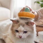 Dematting Comb for Cats: The Ultimate Guide to a Tangle-Free Coat