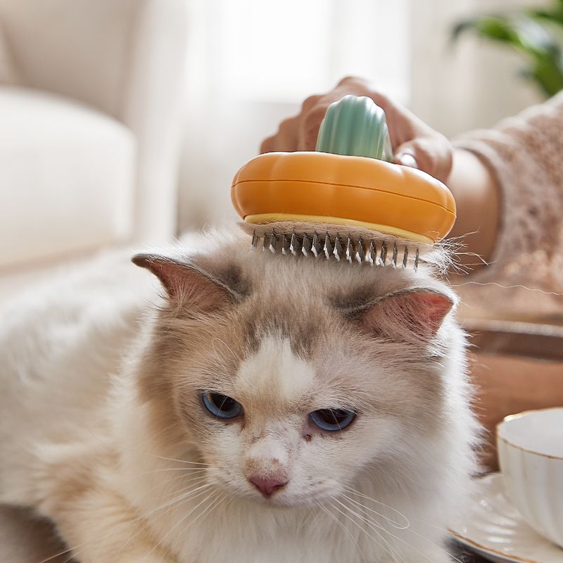 Dematting Comb for Cats: The Ultimate Guide to a Tangle-Free Coat