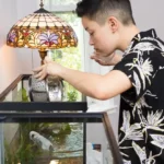 Have you ever walked into a room and been instantly drawn to the calm movement of colorful fish gliding through crystal-clear water? That’s the quiet magic an aquarium fish tank for home can bring. Aquariums do more than just beautify a space—they create a peaceful environment, spark joy, and provide a rewarding hobby that brings both learning and relaxation. But with so many options out there, where do you even begin? In this complete guide, we’ll walk you through everything you need to know about choosing, setting up, and maintaining an aquarium fish tank for your home. Whether you live in a small apartment or a spacious house, there's a perfect fish tank waiting for you. Why You Should Have an Aquarium Fish Tank at Home Before we dive into types and setups, let’s take a moment to talk about why having an aquarium at home is such a good idea. 1. Stress Relief Numerous studies show that watching fish reduces anxiety, lowers heart rate, and creates a sense of calm. 2. Decorative Appeal Aquariums add a living, moving element to any space—serving as a centerpiece or even a subtle background feature. 3. Educational for Kids and Adults Fish tanks offer daily lessons in biology, ecosystems, water chemistry, and responsibility. 4. Customizable for Any Space Whether you have a corner to fill or a wall to decorate, there’s a tank that fits. Choosing the Right Aquarium Fish Tank for Home Getting the right tank depends on a few key factors—space, budget, experience, and style. Let’s explore the main types of tanks and who they’re best for. 1. Standard Glass or Acrylic Tank Available in all sizes Simple, clear design Ideal for beginners Pros: Easy to find, affordable, and fits any room Cons: Requires a stand or solid surface 2. Corner Aquarium Fits snugly into corners Great for small spaces Unique panoramic view Best for: Apartments, bedrooms, or offices 3. Wall-Mounted or In-Wall Tank Built into or mounted on the wall High-end, modern look Best for: Homeowners looking for a sleek aesthetic Note: Usually requires professional installation 4. Nano or Desktop Tanks Compact tanks under 10 gallons Ideal for desktops or shelves Great for: Bettas, shrimp, or one small fish Caution: Smaller tanks are more sensitive to changes in temperature or water quality 5. Custom-Built Tanks Tailored to your space and design preferences Perfect for: Large homes, luxury designs, or unique placements Best Locations for an Aquarium Fish Tank at Home Placement plays a major role in the health of your fish and the overall appearance of the tank. Do: Place near a power outlet Ensure it’s on a flat, stable surface Keep away from direct sunlight (prevents algae growth) Choose a visible spot where you can enjoy it daily Don’t: Place next to windows or heaters Put it in high-traffic areas where it can get bumped Install on unstable or unlevel furniture What Size Aquarium Should You Get? Size affects everything: how many fish you can keep, how stable the water stays, and how easy the tank is to maintain. Tank Size Ideal For Notes 5–10 gallons Beginners, Betta tanks Easy to manage, good for one fish 20–30 gallons Community tanks More stable, allows small groups of fish 40+ gallons Advanced setups Requires more space and support 75+ gallons Saltwater or showpiece tanks Ideal for experienced aquarists Tip: Bigger is often better. Larger tanks are easier to maintain because they offer more stable conditions. Equipment You’ll Need An aquarium fish tank for home isn’t just a glass box with water. It needs the right equipment to function smoothly. Basic Essentials: Filter: Keeps water clean and oxygenated Heater (for tropical fish): Maintains stable water temperature Lighting: Supports fish health and plant growth Gravel or Substrate: Adds visual appeal and anchors decorations Thermometer: Lets you monitor temperature daily Water Conditioner: Removes chlorine from tap water Optional but useful: Air pump and air stone Automatic feeder Background poster Aquarium test kit Setting Up Your Aquarium Fish Tank for Home Setting up an aquarium is exciting but requires patience. Follow these steps to start right: Step 1: Rinse Everything Always rinse your gravel, decorations, and tank with plain water (no soap). Step 2: Add Substrate and Decorations Layer your gravel first, then add decorations like rocks, driftwood, and artificial or live plants. Step 3: Install Equipment Position your filter, heater, and thermometer, but don’t plug them in yet. Step 4: Fill with Water Use room-temperature water. Add a dechlorinator before turning on your equipment. Step 5: Cycle the Tank Let the tank run for at least 1-2 weeks to establish beneficial bacteria before adding fish. Best Fish for a Home Aquarium Choose fish that match your tank size and maintenance preference. For Small Tanks (5–10 gallons): Betta fish Guppies Shrimp Neon tetras For Medium Tanks (20–40 gallons): Mollies Platies Cory catfish Zebra danios For Large Tanks (50+ gallons): Angelfish Gouramis Rainbowfish Clown loaches Avoid mixing aggressive and peaceful species. Always research compatibility before stocking. Decoration Ideas to Personalize Your Tank Your aquarium fish tank for home should match your personal style. Nature-Inspired: Driftwood River rocks Live plants Themed: Pirate shipwreck Castle ruins Space or fantasy decor Minimalist: White sand Bonsai driftwood Simple background Tip: Always use aquarium-safe materials. Avoid painted items or anything with sharp edges. Routine Maintenance Tips A clean tank is a healthy tank. Here’s what you should do: Daily: Check fish behavior Monitor temperature Remove uneaten food Weekly: Change 10–20% of the water Test pH and ammonia levels Clean glass with an algae scraper Monthly: Rinse filter media in tank water Deep-clean decorations Check equipment for wear Common Mistakes to Avoid Even seasoned fishkeepers make these errors: Skipping the cycling process Overfeeding (causes cloudy water and ammonia spikes) Overstocking (more fish = more waste) Inconsistent maintenance Using tap water without conditioner By avoiding these mistakes, you’ll give your fish a healthier, happier home. Final Thoughts: A Beautiful Aquarium Starts with the Right Choices Setting up an aquarium fish tank for home is a journey that combines creativity, care, and curiosity. Whether you’re looking for a small desk companion or a grand aquatic centerpiece, the right setup can bring tranquility and joy into your space. Remember: Pick the right size and type for your needs Place it where it’s both safe and visible Cycle before adding fish Keep it clean and consistent Once your tank is up and running, you’ll not only be watching fish—you’ll be watching your own little world come to life.