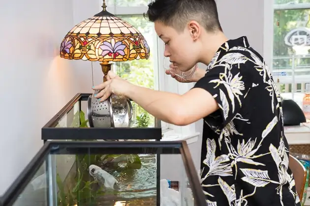 Have you ever walked into a room and been instantly drawn to the calm movement of colorful fish gliding through crystal-clear water? That’s the quiet magic an aquarium fish tank for home can bring. Aquariums do more than just beautify a space—they create a peaceful environment, spark joy, and provide a rewarding hobby that brings both learning and relaxation. But with so many options out there, where do you even begin? In this complete guide, we’ll walk you through everything you need to know about choosing, setting up, and maintaining an aquarium fish tank for your home. Whether you live in a small apartment or a spacious house, there's a perfect fish tank waiting for you. Why You Should Have an Aquarium Fish Tank at Home Before we dive into types and setups, let’s take a moment to talk about why having an aquarium at home is such a good idea. 1. Stress Relief Numerous studies show that watching fish reduces anxiety, lowers heart rate, and creates a sense of calm. 2. Decorative Appeal Aquariums add a living, moving element to any space—serving as a centerpiece or even a subtle background feature. 3. Educational for Kids and Adults Fish tanks offer daily lessons in biology, ecosystems, water chemistry, and responsibility. 4. Customizable for Any Space Whether you have a corner to fill or a wall to decorate, there’s a tank that fits. Choosing the Right Aquarium Fish Tank for Home Getting the right tank depends on a few key factors—space, budget, experience, and style. Let’s explore the main types of tanks and who they’re best for. 1. Standard Glass or Acrylic Tank Available in all sizes Simple, clear design Ideal for beginners Pros: Easy to find, affordable, and fits any room Cons: Requires a stand or solid surface 2. Corner Aquarium Fits snugly into corners Great for small spaces Unique panoramic view Best for: Apartments, bedrooms, or offices 3. Wall-Mounted or In-Wall Tank Built into or mounted on the wall High-end, modern look Best for: Homeowners looking for a sleek aesthetic Note: Usually requires professional installation 4. Nano or Desktop Tanks Compact tanks under 10 gallons Ideal for desktops or shelves Great for: Bettas, shrimp, or one small fish Caution: Smaller tanks are more sensitive to changes in temperature or water quality 5. Custom-Built Tanks Tailored to your space and design preferences Perfect for: Large homes, luxury designs, or unique placements Best Locations for an Aquarium Fish Tank at Home Placement plays a major role in the health of your fish and the overall appearance of the tank. Do: Place near a power outlet Ensure it’s on a flat, stable surface Keep away from direct sunlight (prevents algae growth) Choose a visible spot where you can enjoy it daily Don’t: Place next to windows or heaters Put it in high-traffic areas where it can get bumped Install on unstable or unlevel furniture What Size Aquarium Should You Get? Size affects everything: how many fish you can keep, how stable the water stays, and how easy the tank is to maintain. Tank Size Ideal For Notes 5–10 gallons Beginners, Betta tanks Easy to manage, good for one fish 20–30 gallons Community tanks More stable, allows small groups of fish 40+ gallons Advanced setups Requires more space and support 75+ gallons Saltwater or showpiece tanks Ideal for experienced aquarists Tip: Bigger is often better. Larger tanks are easier to maintain because they offer more stable conditions. Equipment You’ll Need An aquarium fish tank for home isn’t just a glass box with water. It needs the right equipment to function smoothly. Basic Essentials: Filter: Keeps water clean and oxygenated Heater (for tropical fish): Maintains stable water temperature Lighting: Supports fish health and plant growth Gravel or Substrate: Adds visual appeal and anchors decorations Thermometer: Lets you monitor temperature daily Water Conditioner: Removes chlorine from tap water Optional but useful: Air pump and air stone Automatic feeder Background poster Aquarium test kit Setting Up Your Aquarium Fish Tank for Home Setting up an aquarium is exciting but requires patience. Follow these steps to start right: Step 1: Rinse Everything Always rinse your gravel, decorations, and tank with plain water (no soap). Step 2: Add Substrate and Decorations Layer your gravel first, then add decorations like rocks, driftwood, and artificial or live plants. Step 3: Install Equipment Position your filter, heater, and thermometer, but don’t plug them in yet. Step 4: Fill with Water Use room-temperature water. Add a dechlorinator before turning on your equipment. Step 5: Cycle the Tank Let the tank run for at least 1-2 weeks to establish beneficial bacteria before adding fish. Best Fish for a Home Aquarium Choose fish that match your tank size and maintenance preference. For Small Tanks (5–10 gallons): Betta fish Guppies Shrimp Neon tetras For Medium Tanks (20–40 gallons): Mollies Platies Cory catfish Zebra danios For Large Tanks (50+ gallons): Angelfish Gouramis Rainbowfish Clown loaches Avoid mixing aggressive and peaceful species. Always research compatibility before stocking. Decoration Ideas to Personalize Your Tank Your aquarium fish tank for home should match your personal style. Nature-Inspired: Driftwood River rocks Live plants Themed: Pirate shipwreck Castle ruins Space or fantasy decor Minimalist: White sand Bonsai driftwood Simple background Tip: Always use aquarium-safe materials. Avoid painted items or anything with sharp edges. Routine Maintenance Tips A clean tank is a healthy tank. Here’s what you should do: Daily: Check fish behavior Monitor temperature Remove uneaten food Weekly: Change 10–20% of the water Test pH and ammonia levels Clean glass with an algae scraper Monthly: Rinse filter media in tank water Deep-clean decorations Check equipment for wear Common Mistakes to Avoid Even seasoned fishkeepers make these errors: Skipping the cycling process Overfeeding (causes cloudy water and ammonia spikes) Overstocking (more fish = more waste) Inconsistent maintenance Using tap water without conditioner By avoiding these mistakes, you’ll give your fish a healthier, happier home. Final Thoughts: A Beautiful Aquarium Starts with the Right Choices Setting up an aquarium fish tank for home is a journey that combines creativity, care, and curiosity. Whether you’re looking for a small desk companion or a grand aquatic centerpiece, the right setup can bring tranquility and joy into your space. Remember: Pick the right size and type for your needs Place it where it’s both safe and visible Cycle before adding fish Keep it clean and consistent Once your tank is up and running, you’ll not only be watching fish—you’ll be watching your own little world come to life.