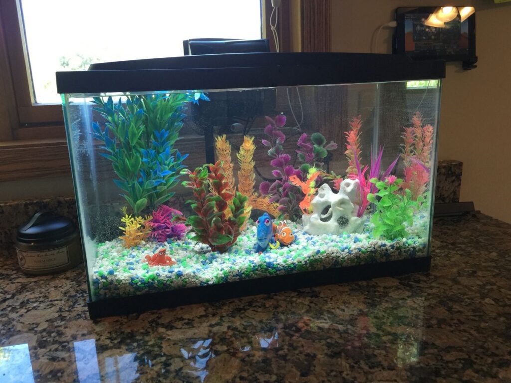 Ever dreamed of having your very own Finding Nemo fish tank at home? You’re not alone. The whimsical world of Nemo, Dory, and their colorful reef companions has captured the hearts of millions. And the good news? You can recreate that magical underwater scene right in your living room. Whether you're a Disney enthusiast, a beginner aquarist, or just want a unique and vibrant aquarium for your home, this guide will walk you through everything you need—from the right fish to themed decorations and tank setup tips. Let’s dive in! Why Choose a Finding Nemo Fish Tank? A Finding Nemo fish tank isn't just a tribute to the beloved Pixar movie—it's also a fantastic way to combine fun, education, and beauty into one compact aquatic ecosystem. Here’s why it’s a popular choice: Visually Stunning: Bright colors, coral-like decor, and active fish bring energy to any room. Kid-Friendly: Encourages curiosity and can help children learn responsibility. Themed Customization: Offers endless creativity with decor and character placement. Conversation Starter: Guests are instantly drawn to a familiar scene with a nostalgic touch. What Fish Do You Need for a Finding Nemo Fish Tank? Let’s start with the stars of the show. The following fish represent the key characters from Finding Nemo, and they’re all available in the aquarium trade. Be sure to check compatibility and care levels before mixing them. 1. Nemo – Clownfish (Ocellaris or Percula Clownfish) Size: Up to 4 inches Tank Size: Minimum 20 gallons Behavior: Peaceful, great for beginners Care Level: Easy This orange-and-white striped fish is a must-have. It's hardy, adaptable, and instantly recognizable. 2. Dory – Regal Blue Tang (Paracanthurus hepatus) Size: Up to 12 inches Tank Size: Minimum 75-100 gallons Behavior: Active swimmer, semi-aggressive Care Level: Intermediate to advanced While Dory is beautiful and iconic, she needs plenty of space and clean, stable water conditions. This is not the best choice for small tanks or beginner aquarists. 3. Gill – Moorish Idol (Caution) Alternative: Heniochus Butterflyfish (Longfin Bannerfish) Size: 6–8 inches Tank Size: 75+ gallons Care Level: Difficult (Moorish Idol) / Moderate (Heniochus) Moorish Idols are notoriously hard to keep alive in captivity. Consider a look-alike like the Heniochus instead. 4. Bubbles – Yellow Tang Size: Up to 8 inches Tank Size: 55 gallons minimum Behavior: Peaceful, can be territorial Care Level: Easy to moderate This bright yellow fish adds vibrant contrast to the tank and fits the theme perfectly. 5. Deb/Flo – Black and White Damselfish or Chromis Size: Up to 3 inches Behavior: Can be aggressive Tank Size: 30+ gallons Choose peaceful varieties of Damselfish or a Chromis if you want to avoid aggression. Tank Size & Setup Considerations Choosing the right tank size is crucial, especially if you plan to include multiple species like the Blue Tang or Yellow Tang. Recommended Minimum Tank Sizes: Fish Tank Size Clownfish 20 gallons Blue Tang 100 gallons Yellow Tang 55 gallons Heniochus Butterfly 75 gallons To safely house all these species together, a 100–125 gallon tank is ideal. Always consider the adult size of the fish and provide ample swimming space. Decorating Your Finding Nemo Fish Tank Now comes the fun part—setting the stage for your aquatic characters. 1. Background and Substrate Use a coral reef background or ocean-blue image for depth. For substrate, go with white or natural sand to mimic the movie’s reef floor. 2. Decorations & Ornaments Coral replicas: Vibrant soft and hard coral models (avoid sharp edges). Anemone lookalikes: Safe silicone anemones where your Clownfish can host. Movie-themed ornaments: Find “Nemo-themed” decorations like mini skulls, castles, or even a mini scuba diver helmet. Tip: Avoid overly cluttering the tank. Fish need open space to swim. 3. Lighting Use LED lighting to simulate daylight and highlight the colorful fish. Consider blue lighting for a calming, oceanic ambiance. Important Equipment for a Healthy Tank Even the most beautifully decorated Finding Nemo fish tank needs the right gear to keep your fish healthy. Heater & Thermometer: Maintain stable temperatures (72–78°F). High-Quality Filter: Choose one suitable for your tank size. Protein Skimmer (for saltwater): Helps maintain clean water. Water Test Kit: Monitor pH, ammonia, nitrates, and salinity. Wave Maker (optional): Replicates ocean currents for realism. Freshwater or Saltwater: Which One is Better? The authentic Finding Nemo fish tank is a saltwater aquarium, but many people opt for a freshwater alternative with look-alike species due to cost and ease of maintenance. Pros of Saltwater Tanks: Realistic marine species Vibrant colors and variety More accurate to the movie Pros of Freshwater Alternatives: Easier and cheaper to maintain Ideal for beginners Still colorful with proper selection If you’re new to aquariums, starting with a freshwater tank that mimics the look of Nemo’s reef is a great first step. Cost Breakdown: What to Expect Setting up a Finding Nemo fish tank can vary significantly in price depending on the setup type. Item Approximate Cost 100-gallon Tank Kit $400–$800 Filter & Heater $150–$300 Marine Fish (5–6 types) $200–$600 Decor & Substrate $100–$250 Salt Mix & Testing Kit $75–$150 Ongoing Maintenance/Month $30–$60 Total initial setup cost for a full marine Finding Nemo fish tank ranges from $800 to $2,000. Tips for Success with Your Finding Nemo Aquarium Cycle the tank before adding fish: This ensures water conditions are safe. Add fish gradually: Avoid overloading the system at once. Watch compatibility: Some fish may be territorial or aggressive. Perform weekly water changes: Helps maintain water quality. Feed balanced diets: Each fish may have different dietary needs. Common Mistakes to Avoid Overcrowding the tank A colorful tank is great, but fish need room to swim. Ignoring water parameters Especially in saltwater setups, test water frequently. Mixing incompatible species Just because they look nice doesn’t mean they get along. Skipping research Know what each fish needs before buying. Is a Finding Nemo Fish Tank Right for You? If you love the idea of a vibrant, themed aquarium that tells a story, the Finding Nemo fish tank is a magical and rewarding project. While the full saltwater version is more challenging and expensive, a simplified or freshwater alternative still provides charm and fun. Start small, do your research, and gradually build your underwater world—just like Marlin did when he journeyed across the ocean to find his son. Conclusion A Finding Nemo fish tank isn’t just an aquarium—it’s an experience. It combines creativity, learning, and nature in one captivating hobby. With the right fish, setup, and care, you’ll have a piece of Pixar’s ocean right in your home. Whether you're setting it up for your kids, yourself, or as a centerpiece for guests, this themed tank will bring endless joy. Just remember: fishkeeping is a journey. Be patient, stay curious, and let your underwater adventure begin.