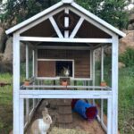 Rabbit Houses Outdoor: Creating a Safe and Comfortable Home for Your Bunny Providing a secure and comfortable shelter is essential when keeping rabbits outside. A well-designed rabbit houses outdoor protects your furry friend from weather extremes, predators, and stress while offering a cozy retreat. This guide covers why outdoor rabbit houses are important, types available, key features to look for, and maintenance tips to keep your bunny safe and happy. Why Do Rabbits Need Outdoor Houses? Protection from weather: Shields from rain, wind, heat, and cold. Safety from predators: Secure construction prevents access from dogs, cats, foxes, and birds of prey. Comfort: Provides a quiet space where rabbits can rest and hide. Space to roam: Outdoor houses often come with attached runs for exercise. Types of Rabbit Houses Outdoor 1. Hutch with Attached Run Traditional design combining an enclosed house with a secure fenced area. Pros: Provides shelter and exercise space. Cons: Needs space and regular cleaning. 2. Weatherproof Wooden Hutches Built from treated wood with waterproof roofs and insulated walls. Pros: Durable and comfortable in various weather. Cons: Can be heavy and expensive. 3. Plastic or Resin Hutches Lightweight, easy to clean, and resistant to weather damage. Pros: Low maintenance and portable. Cons: Less natural appearance, less insulation. 4. DIY Rabbit Houses Custom-built using materials like wood pallets, plastic crates, or repurposed furniture. Pros: Customizable and budget-friendly. Cons: Requires DIY skills and time. Key Features to Look for in Outdoor Rabbit Houses Weather Resistance: Waterproof roofs, raised floors to avoid dampness. Ventilation: Proper airflow without drafts to maintain healthy air quality. Predator Proof: Secure locks, strong wire mesh, and enclosed design. Size: Enough space for your rabbit to move comfortably (at least 12 sq ft). Ease of Cleaning: Removable trays or accessible doors for hygiene. Tips for Setting Up an Outdoor Rabbit House Place the house in a shaded area to avoid overheating. Ensure the run is fully enclosed and predator-proof. Use bedding such as straw or hay to keep your rabbit warm. Regularly clean the house and run to prevent odors and illness. Check for signs of wear or damage and repair promptly. Personal Experience: Why a Good Outdoor Rabbit House Matters When I first moved my rabbits outdoors, they were restless and vulnerable in a poorly built hutch. Upgrading to a sturdy, weatherproof rabbit houses outdoor with a secure run made a big difference — they seemed more relaxed, playful, and safe. Expert Recommendations Rabbit care experts stress that outdoor housing must prioritize safety and comfort. According to Dr. Helen Marshall: “A well-designed outdoor rabbit house prevents stress and health issues by providing shelter from the elements and predators.” Comparison Table: Popular Outdoor Rabbit Houses Type Best For Material Weather Resistance Price Range Hutch with Run Exercise + shelter Wood + wire mesh Moderate to high $$-$$$ Weatherproof Wooden Durability and comfort Treated wood High $$$ Plastic/Resin Easy maintenance Plastic/Resin High $$ DIY Houses Custom fit and budget Various Varies $-$$ When to Replace or Upgrade Your Rabbit House If the structure is damaged or leaking. When your rabbit outgrows the space. If predator access becomes easy. Key Takeaways Rabbit houses outdoor provide essential shelter, safety, and comfort. Choose weather-resistant, predator-proof, and well-ventilated designs. Proper placement and maintenance ensure your bunny’s health and happiness. Conclusion Investing in the right rabbit houses outdoor creates a safe, comfortable haven for your rabbit to thrive in nature. Whether you choose a traditional hutch, a weatherproof model, or a DIY solution, the key is protection and space. With careful choice and upkeep, your rabbit will enjoy a happy outdoor life.
