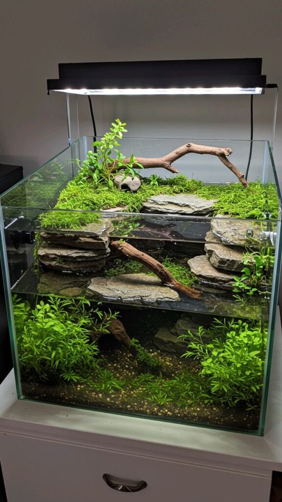 fish tank ideas​