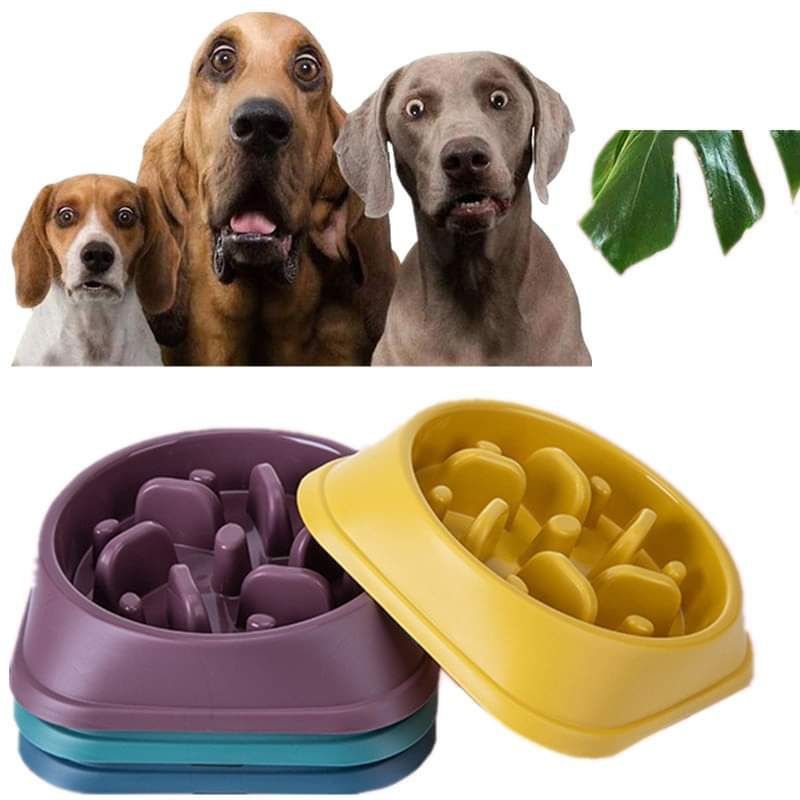 Slow Feeder Dog Bowl: Why It’s a Game-Changer for Your Dog’s Health If your dog tends to gobble down meals in seconds, you’re not alone. Rapid eating can lead to discomfort, choking, or even dangerous conditions like bloat. A slow feeder dog bowl is a smart, simple tool designed to encourage your dog to eat more slowly and mindfully. This guide will explain why slow feeding matters, the different types of slow feeder bowls available, and how to pick the best one for your furry friend’s needs. Why Use a Slow Feeder Dog Bowl? Eating too fast isn’t just a quirky habit—it can cause serious health issues: Bloat (Gastric Dilatation-Volvulus): A life-threatening condition where the stomach twists. Choking and Vomiting: Rapid eating increases these risks. Poor Digestion: Fast eating can cause indigestion or gas. Weight Management: Slower eating helps dogs feel fuller and prevents overeating. A slow feeder dog bowl helps by creating obstacles or patterns that make your dog work for their food, naturally slowing down their pace. Types of Slow Feeder Dog Bowls 1. Maze Bowls Raised ridges and patterns form a maze your dog must navigate to get food. Best for: Most dogs, especially fast eaters. Pros: Engages your dog mentally and physically. Cons: Some dogs may find it frustrating initially. 2. Raised Bowls with Bumps Simple raised bumps scattered in the bowl to slow eating. Best for: Dogs new to slow feeders. Pros: Easy transition from regular bowls. Cons: Less challenging than maze designs. 3. Interactive Feeders Include puzzle elements or compartments requiring manipulation to access food. Best for: Highly intelligent or bored dogs. Pros: Mental stimulation combined with slower eating. Cons: Can be pricier and require supervision. 4. Elevated Slow Feeders Slow feeder bowls that are raised off the ground for ergonomic eating. Best for: Older dogs or those with arthritis. Pros: Improves posture and digestion. Cons: May not slow eating significantly on their own. How to Choose the Best Slow Feeder Dog Bowl Consider these factors: Dog Size & Breed: Large breeds need bigger bowls; small dogs need appropriately sized obstacles. Material: Plastic is common but can retain odors; stainless steel and silicone are durable and hygienic. Ease of Cleaning: Dishwasher-safe bowls save time. Durability: Look for chew-resistant designs, especially for strong chewers. Design Complexity: Start simple if your dog is new to slow feeders. Step-by-Step: Introducing Your Dog to a Slow Feeder Bowl Start Gradually: Mix regular feeding with slow feeder sessions. Demonstrate: Show your dog how to get food from the bowl. Positive Reinforcement: Praise or reward to encourage use. Be Patient: Some dogs take days or weeks to adjust. Monitor: Watch for signs of frustration or refusal. Common Mistakes to Avoid Switching abruptly from a regular bowl to a complicated feeder. Leaving food uneaten too long, risking spoilage. Not cleaning the bowl thoroughly, causing bacteria buildup. Ignoring your dog’s preferences or eating style. Personal Experience: How a Slow Feeder Changed Meal Time My Border Collie used to inhale his meals in under a minute, often vomiting afterward. Switching to a maze-style slow feeder dog bowl transformed mealtime. He takes his time now, seems more satisfied, and no longer shows signs of indigestion. It’s also a fun challenge for him, keeping his mind engaged. Expert Insights on Slow Feeding Veterinarians emphasize the importance of slow feeding for dogs prone to digestive issues. According to Dr. Megan Collins: “Slow feeders reduce the risk of bloat and improve overall digestion, especially in large, deep-chested breeds.” Professional trainers also highlight the mental benefits of puzzle-style feeders, which keep dogs occupied and reduce boredom-related behaviors. Comparison Table: Popular Slow Feeder Dog Bowls Bowl Type Best For Material Cleaning Ease Price Range Maze Bowl Most fast eaters Plastic/Silicone Dishwasher safe $$ Raised Bump Bowl Beginners to slow feeders Plastic Easy $ Interactive Feeder Intelligent dogs Plastic Moderate $$$ Elevated Slow Feeder Older dogs, arthritis Stainless steel Easy $$ When to Consult Your Vet If your dog shows signs of digestive distress, excessive vomiting, or you’re unsure about switching feeding methods, always consult your veterinarian. They can guide you on the best feeding approach tailored to your dog’s health. Key Takeaways A slow feeder dog bowl helps improve digestion, prevent choking, and manage weight. Choose a bowl suited to your dog’s size, temperament, and chewing habits. Introduce slow feeders gradually and with patience. Conclusion A slow feeder dog bowl is a simple but powerful tool that can dramatically improve your dog’s eating habits and overall well-being. By slowing down mealtime, you help your dog digest food better, reduce health risks, and make feeding more stimulating. Whether you choose a basic maze bowl or an interactive puzzle feeder, the right slow feeder bowl will turn mealtime into a safer and more enjoyable experience for your furry friend.