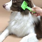 grooming brush for dogs​