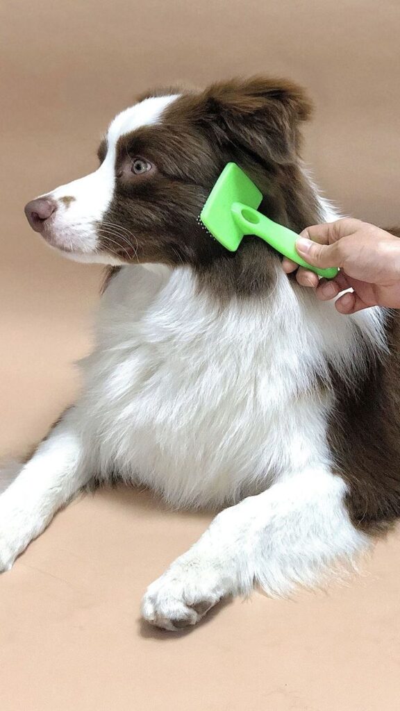grooming brush for dogs​