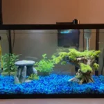 10 gallon fish tank